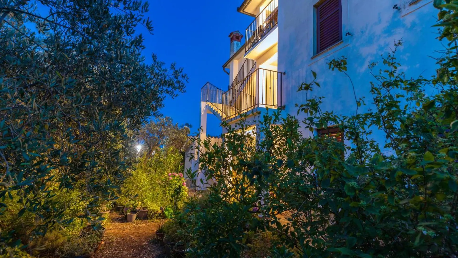 פאז'אנה Apartments Amalia קרואטיה
